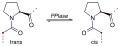 Isomerase