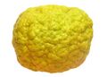 Frutto pompia