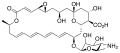 Natamycin chemical structure