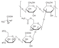 Xanthan gum structure
