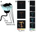 Multispectral optoacoustic tomography