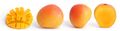 Mango and cross sections