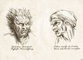 An example of physiognomy, the study of facial features