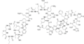 Thumbnail for version as of 19:03, 22 May 2026