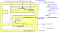 Heme synthesis pathway