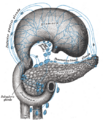Splenic lymph node