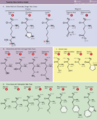 Amino Acids Table