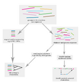 Microbiome Analysis Flowchart