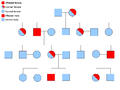 Sex-linked Inheritance