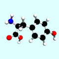 Tyrosine