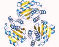 Protein tyrosine phosphatase