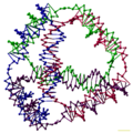 DNA Tetrahedron