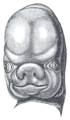 Thumbnail for version as of 17:28, 18 May 2026