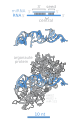 MicroRNAs and Argonaute RNA binding