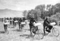25th Regiment Bicycles