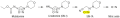 Activation of Molsidomine