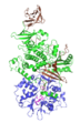 Active AMPK