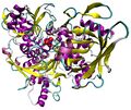 Aconitase structure