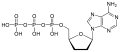 Dideoxyadenosine triphosphate structure