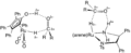 Hydrogenation