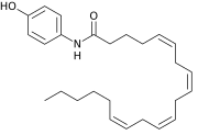 AM404