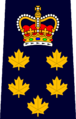 AHS Chief Paramedic