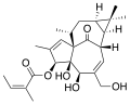 Chemical structure of Ingenol 3-angelate