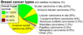 Breast cancer classification