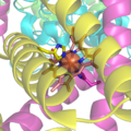 Succinate Dehygrogenase 1YQ3 Haem group