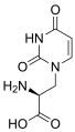 Willardiine
