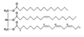 Triglyceride shorthand formula