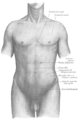 Anterior superior iliac spine