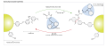 Diagram of peptide synthesis, illustrating step-by-step chemical formation of peptide bonds.