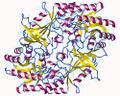 Ornithine decarboxylase structure
