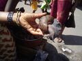 Escargot dish in Abidjan