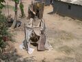 Pit latrines in Zambia