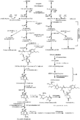 Biosynthesis of Emamectin