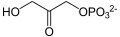 Glycerol 3-phosphate