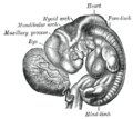 Thumbnail for version as of 17:28, 18 May 2026