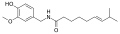 Capsicum frutescens