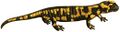 Osteichthyes