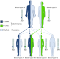 Dominance (genetics)