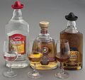 Tequila landscape
