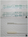 Cervical cytology brushes
