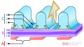 Filtration barrier