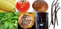 New World Domesticated Plants