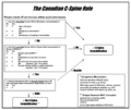 The Canadian C-spine rule