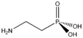 2-aminoethylphosphonate