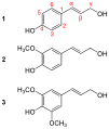General structure of Monolignols