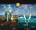 Carbon cycle diagram